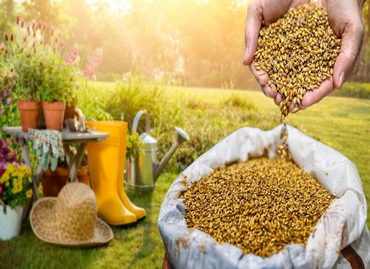 Tiêu chuẩn bao bì nông nghiệp Việt Nam và xu hướng hội nhập quốc tế