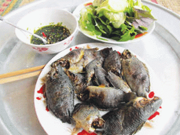 Cá rô đồng làm món gì ngon - DU LỊCH HÀ TIÊN