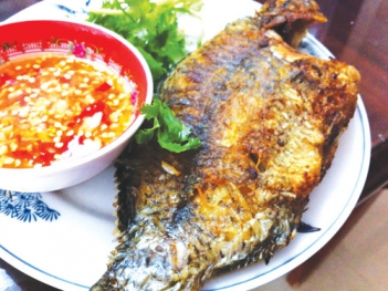 Hướng dẫn cách rán cá rô phi ngon thơm nhất - DU LỊCH HÀ TIÊN