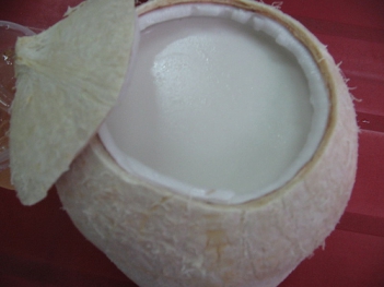 Cách làm rau câu trái dừa vào cuối tuần - DU LỊCH HÀ TIÊN