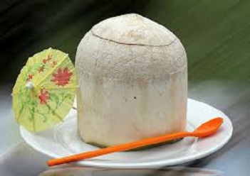 Cách làm rau câu trái dừa “giải nhiệt” ngày hè - DU LỊCH HÀ TIÊN