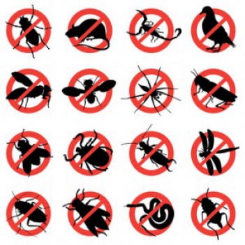 Phần mềm diệt côn trùng liệu có tốt như ta nghĩ? - DU LỊCH HÀ TIÊN