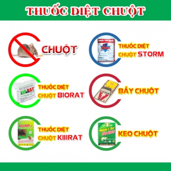 Ra mắt nhà chồng và món thịt chuột nhớ đời - DU LỊCH HÀ TIÊN
