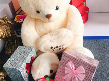 Săn ngay gấu bông Teddy giá rẻ tại Quà Tặng Bí Ẩn - DU LỊCH HÀ TIÊN