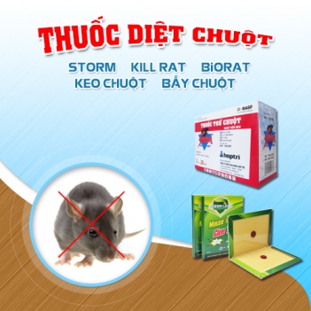 Diệt chuột như thế nào để cho hiệu quả - DU LỊCH HÀ TIÊN