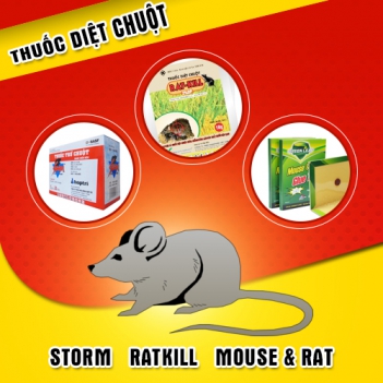 Hướng dẫn cách sử dụng thuốc diệt chuột Strom hiệu quả - DU LỊCH HÀ TIÊN
