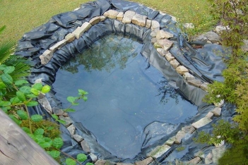 Cảnh báo bạt lót hồ cá HDPE có thể chứa các hóa chất độc hại - DU LỊCH HÀ TIÊN