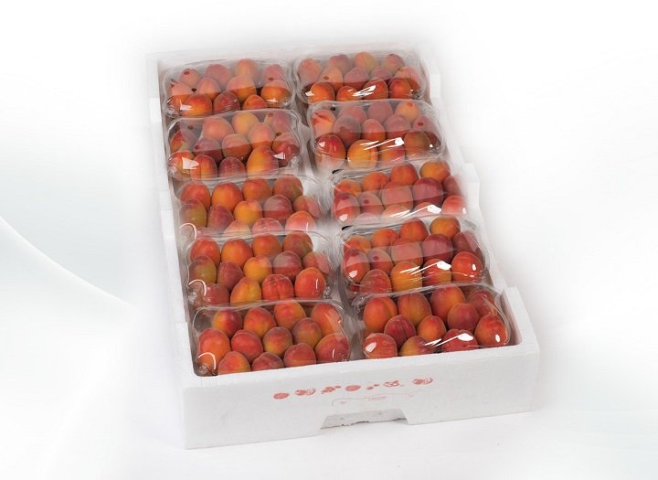 bao bì nông nghiệp nhựa và giấy